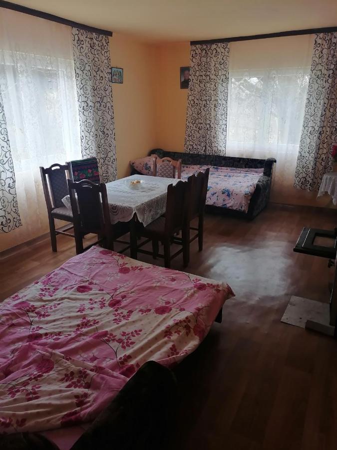 Вилла Etno Kuca Badejevic Plavna Экстерьер фото