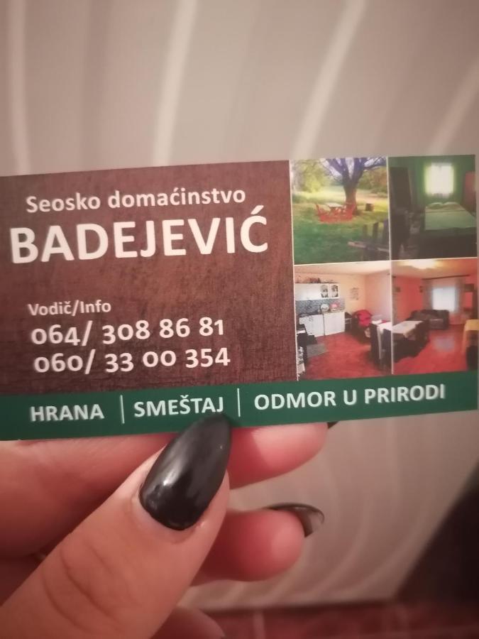 Вилла Etno Kuca Badejevic Plavna Экстерьер фото